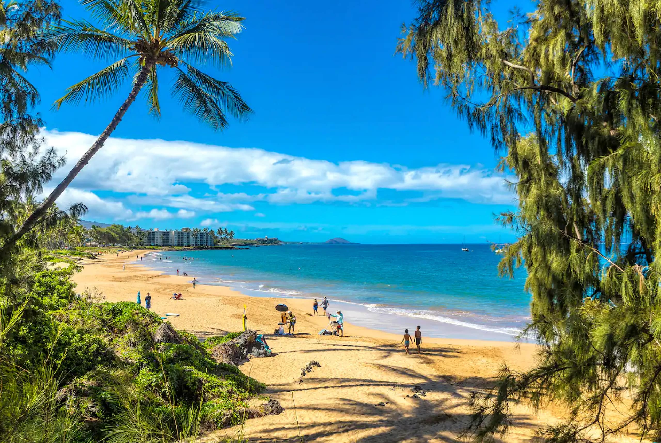 Condo in Kihei · ★4.99 · 1 bedroom · 1 bed · 1 bath - Image 24
