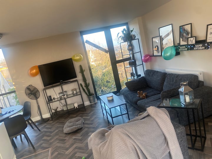 Central Location, Free Parking, Dartmoor Views - Plymouth