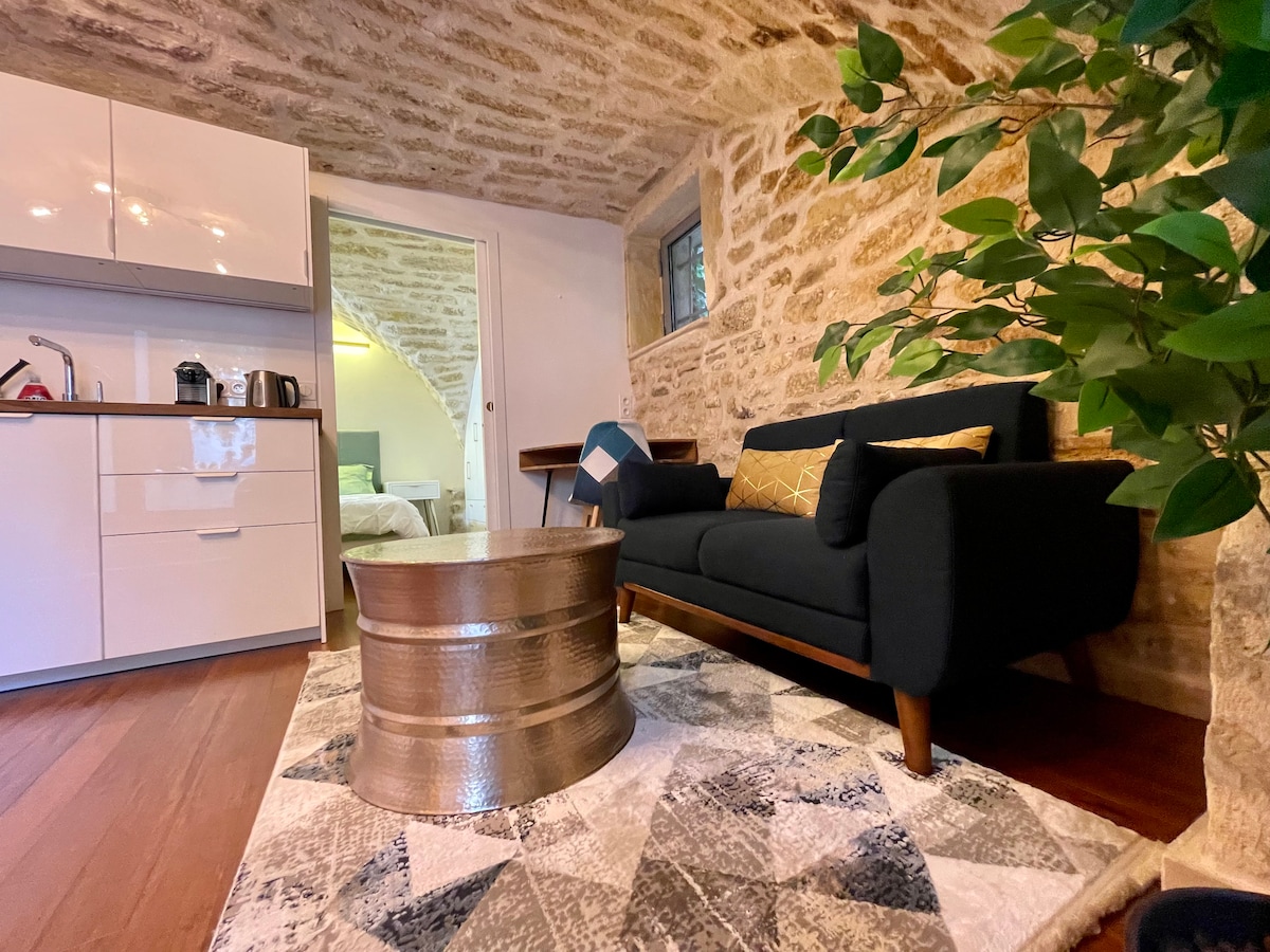A cozy living space showcases a modern black sofa paired with a metallic coffee table, set against stone walls that highlight the historic charm of the apartment. A kitchen area is visible in the background, with light wooden flooring enhancing the warm ambiance.