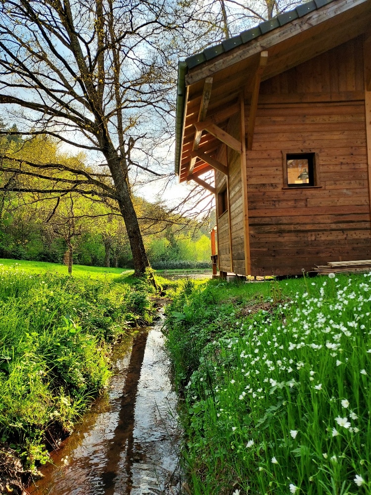 A wooden chalet is positioned beside a gently flowing stream, surrounded by lush green grass and wildflowers. Tall trees provide a natural backdrop, while sunlight filters through the branches, creating a serene outdoor atmosphere.