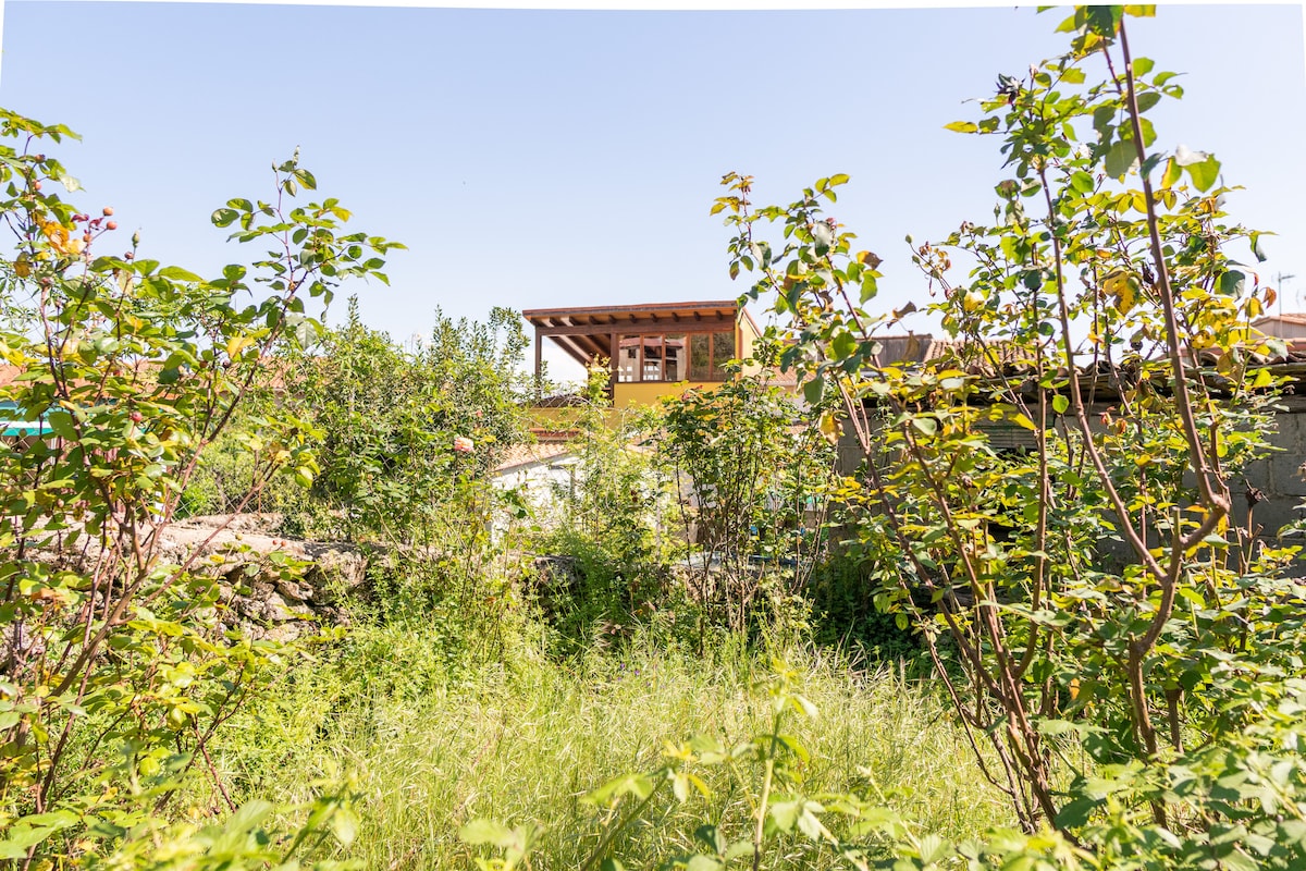 A lush garden area is filled with greenery and wildflowers, leading to a glimpse of a wooden structure in the distance. The space is surrounded by shrubs and trees, creating a natural, serene environment.