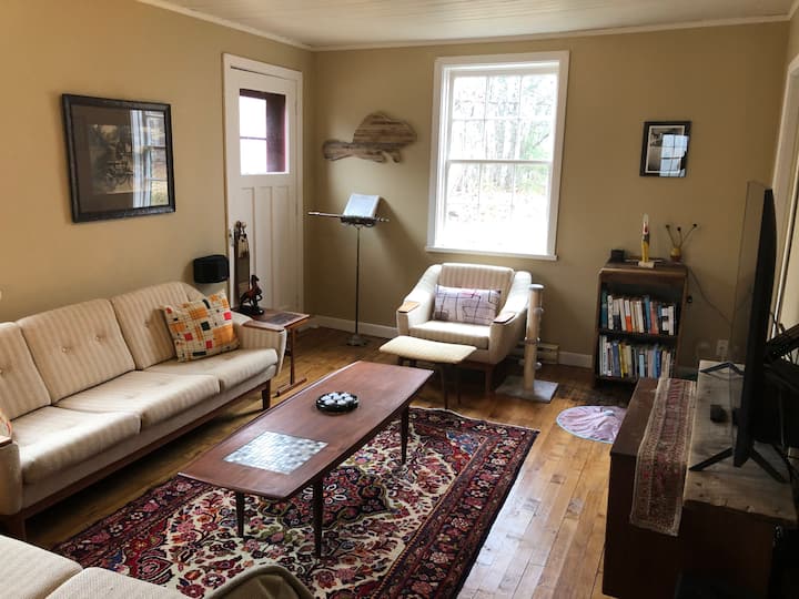 Sebule yenye televisheni