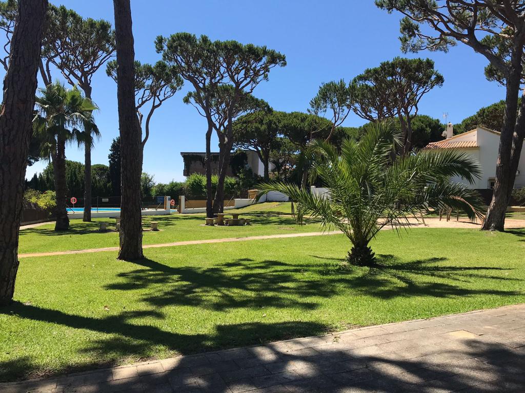 A well-maintained green space features manicured lawns and tall pine trees, casting playful shadows on the ground. In the background, a community pool area is visible, surrounded by greenery. The tranquil setting invites relaxation and leisure.