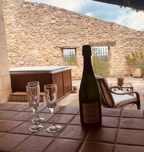 Provençal villa - Pool - View of Luberon and Alpilles -