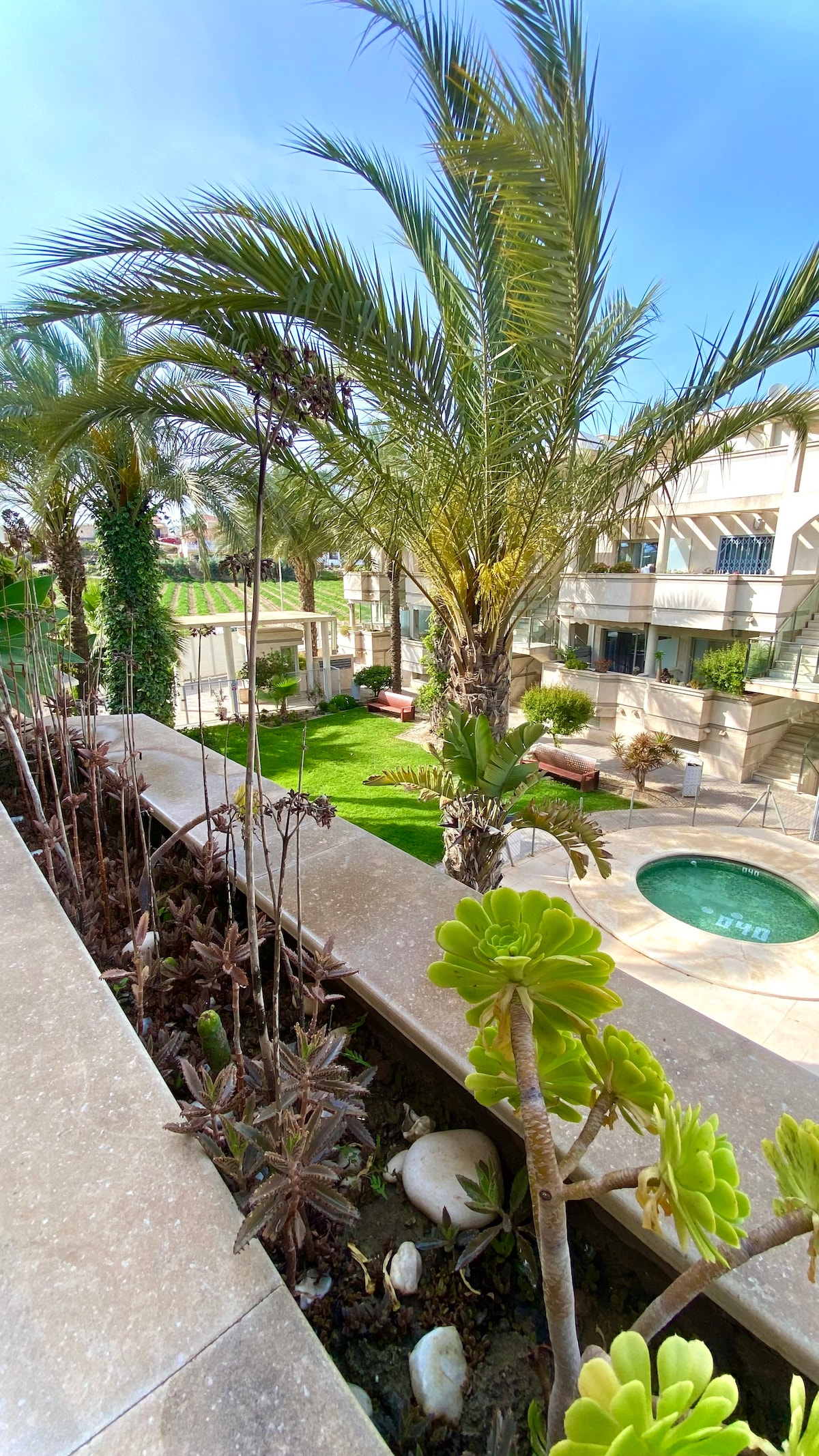 Lush palm trees and vibrant succulents create a natural border around a communal space. A well-kept lawn is visible, along with comfortable seating areas. A swimming pool is situated amid the greenery, offering a relaxing outdoor environment for guests.