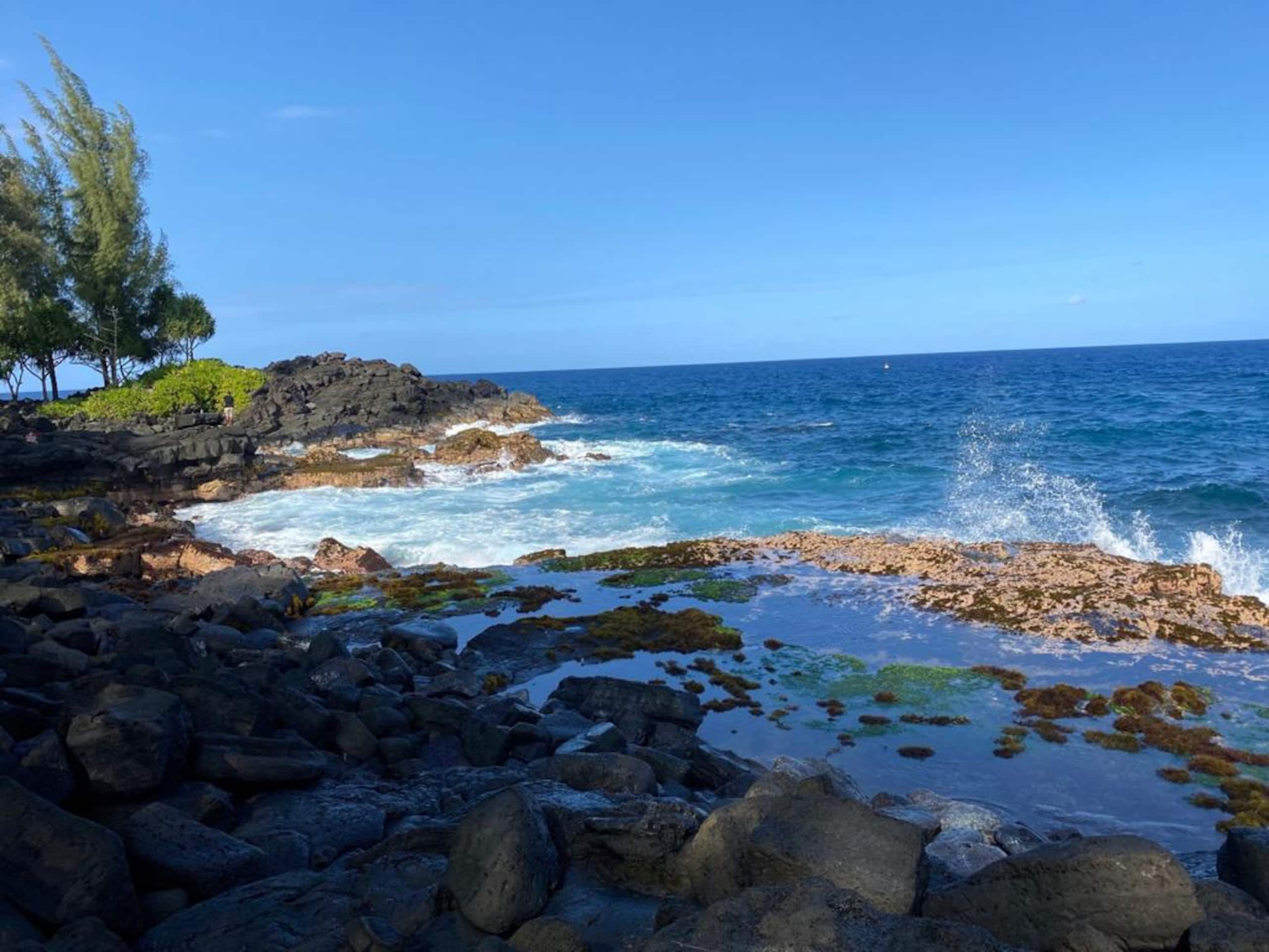 Home in Keaau · ★4.94 · 4 bedrooms · 3 beds · 2 shared baths - Image 19