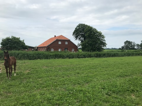 Top Airbnb: Children's paradise on the North Sea in Butjadingen