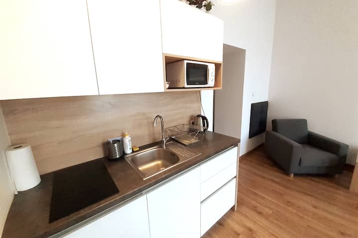 Old Town Apartments (M20) - クラクフ