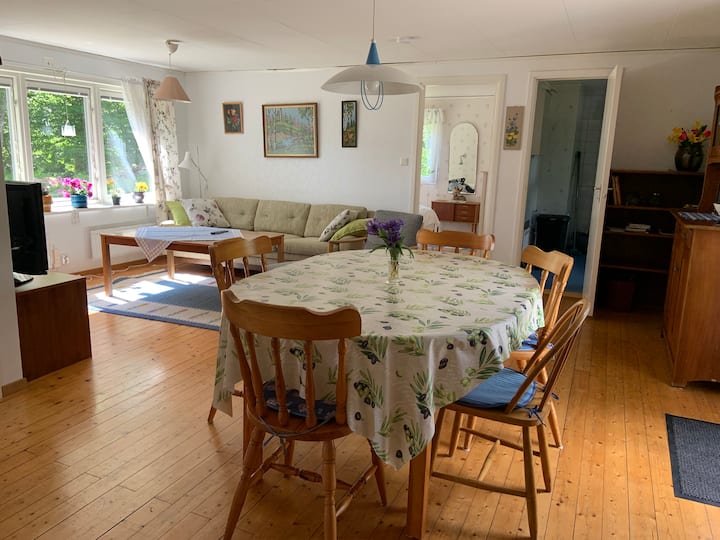 Salon, avec salle à manger, canapé convertible et télévision.