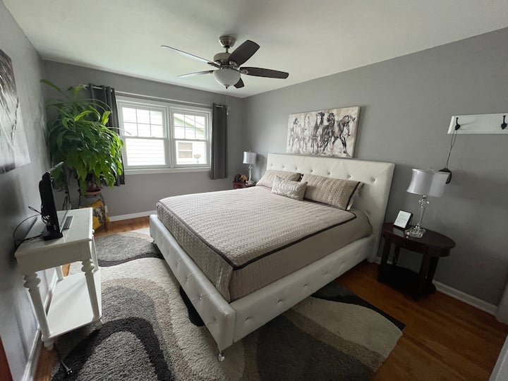 פילים וסוסים גרים כאן