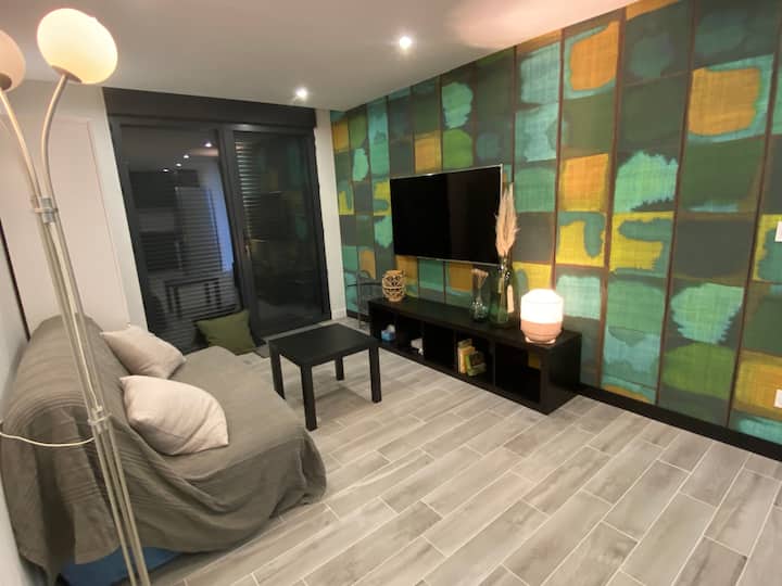 Appartement Avec Terrasse Et Vue Lac - Lake Geneva