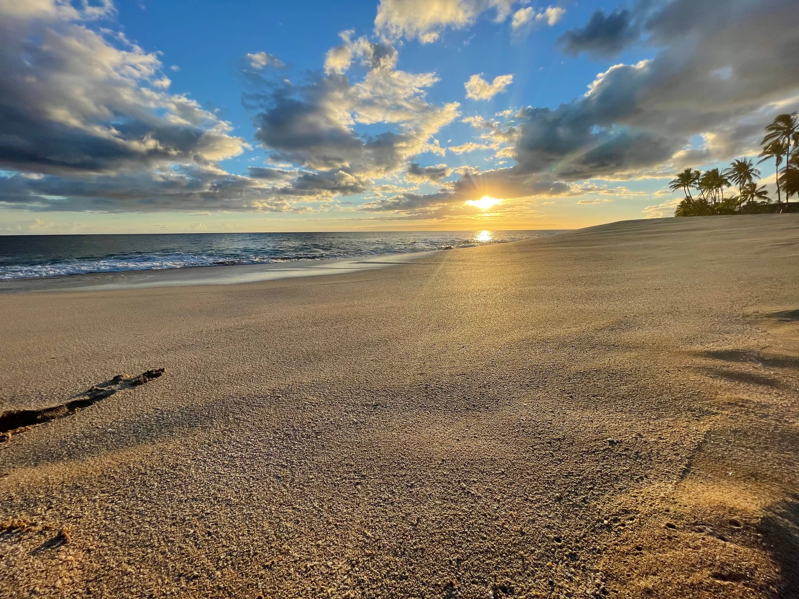 Guesthouse in Waianae · ★4.9 · 1 bedroom · 2 beds · 1 private bath - Image 67