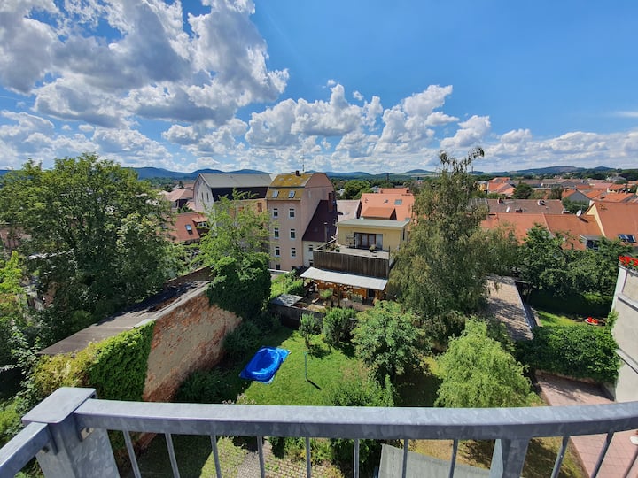 Bright 3-room apartment with balcony in the city center