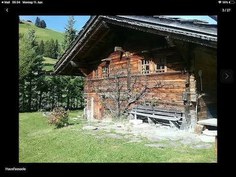 Mountain chalet 