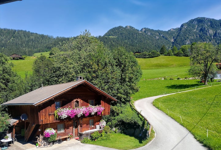 Wörglerhofs Hüttenapartment Bergblick & Kachelofen