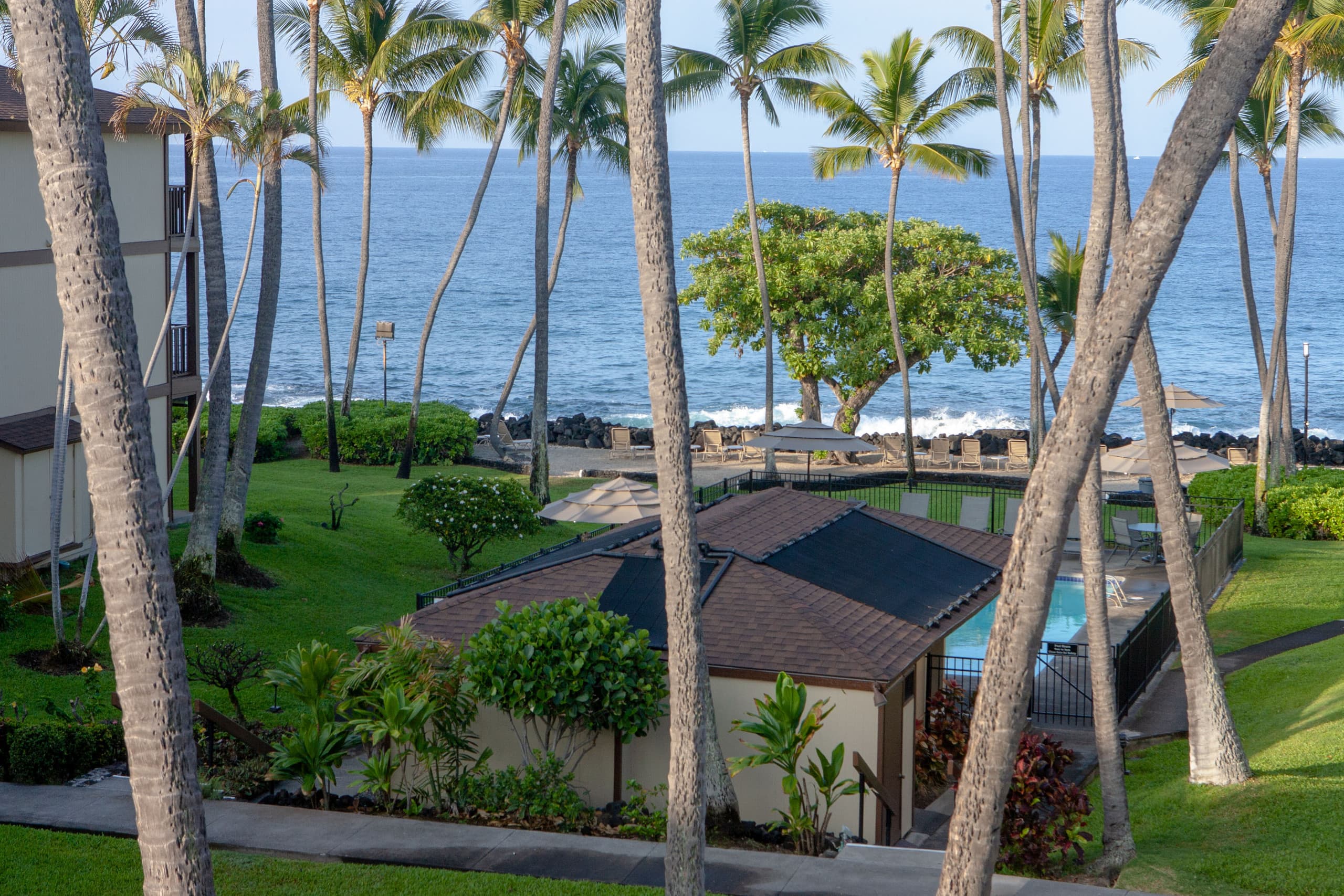 Condo in Kailua-Kona · ★4.98 · 1 bedroom · 1 bed · 1 bath - Image 21