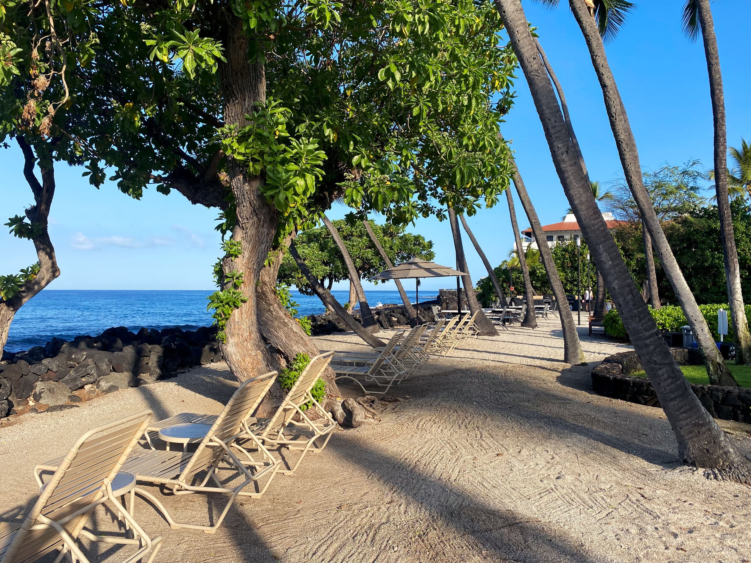 Condo in Kailua-Kona · ★4.98 · 1 bedroom · 1 bed · 1 bath - Image 23