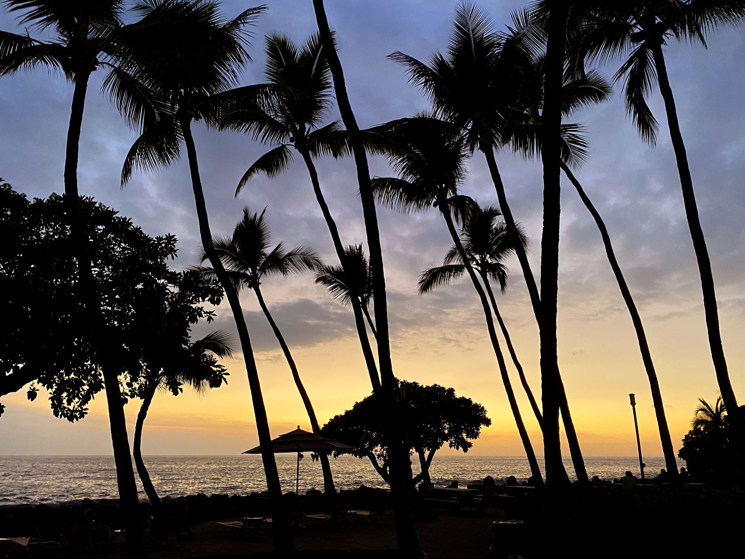 Condo in Kailua-Kona · ★4.98 · 1 bedroom · 1 bed · 1 bath - Image 28