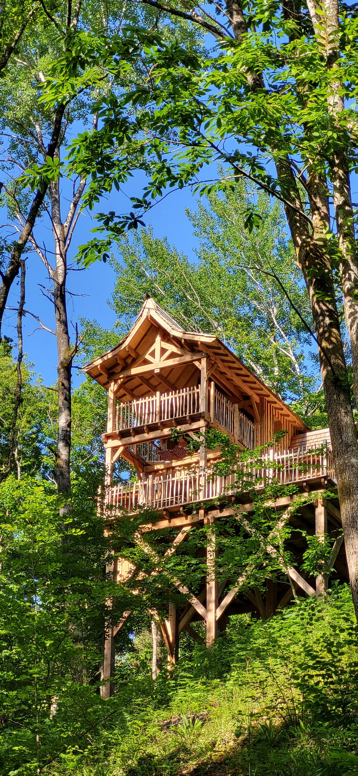 The cabin, elevated among tall trees, exhibits an intricate wooden structure with a sloped roof and multiple balconies. Lush greenery surrounds the base, emphasizing the natural setting of the accommodation. The clear blue sky serves as a backdrop, highlighting the cabin's unique architectural design.
