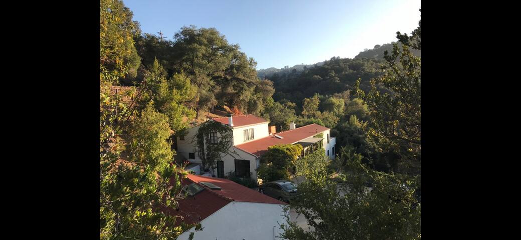 Villa Amore nature retreat & detached yoga studio gallery image 3