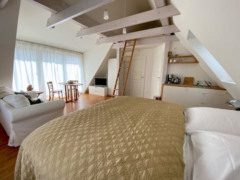 Light-flooded apartment with balcony