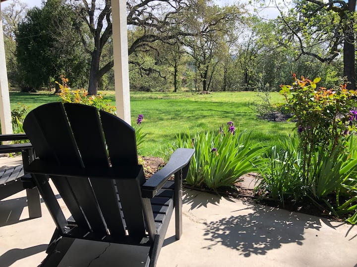 Tranquil 30 day + furnished 1bed Sonoma Valley 1 Apartments for Rent in Santa Rosa