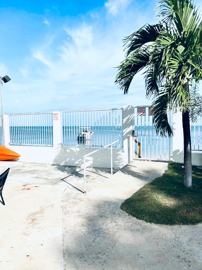 A pathway leads to a gated entrance, offering direct access to the beach. A vibrant palm tree frames the scene against a backdrop of blue skies and calm waters. The area is well-maintained, featuring a concrete surface and manicured grass.