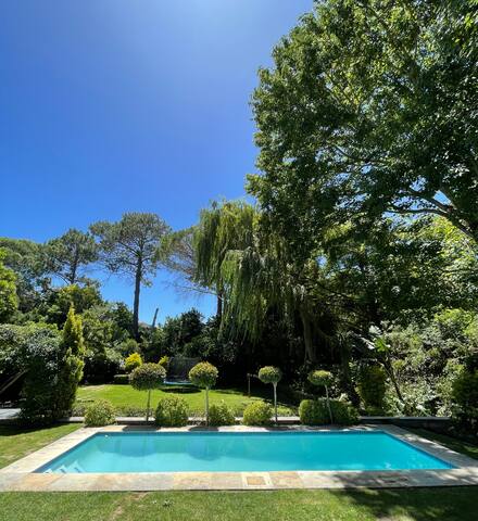 Beautiful family home in Constantia gallery image 3