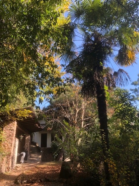 Torre Garden Home - House in Bolzano with garden