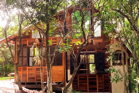 Chill House Gut