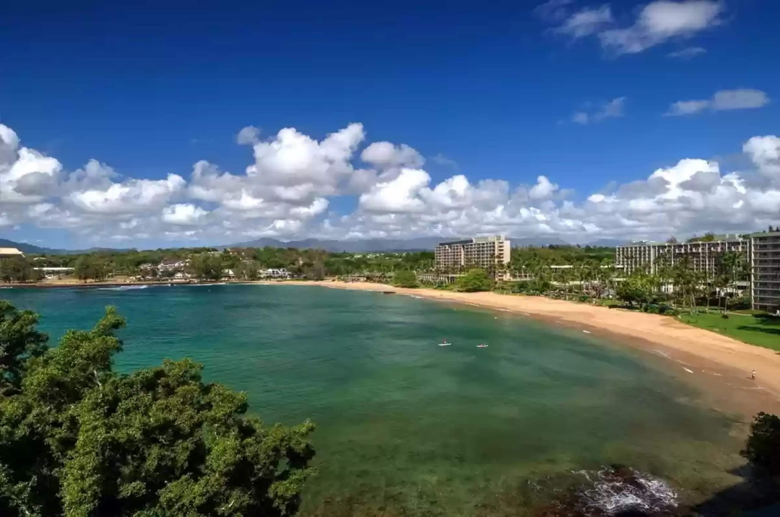Amazing Views from this Oceanfront Home - Photo 18