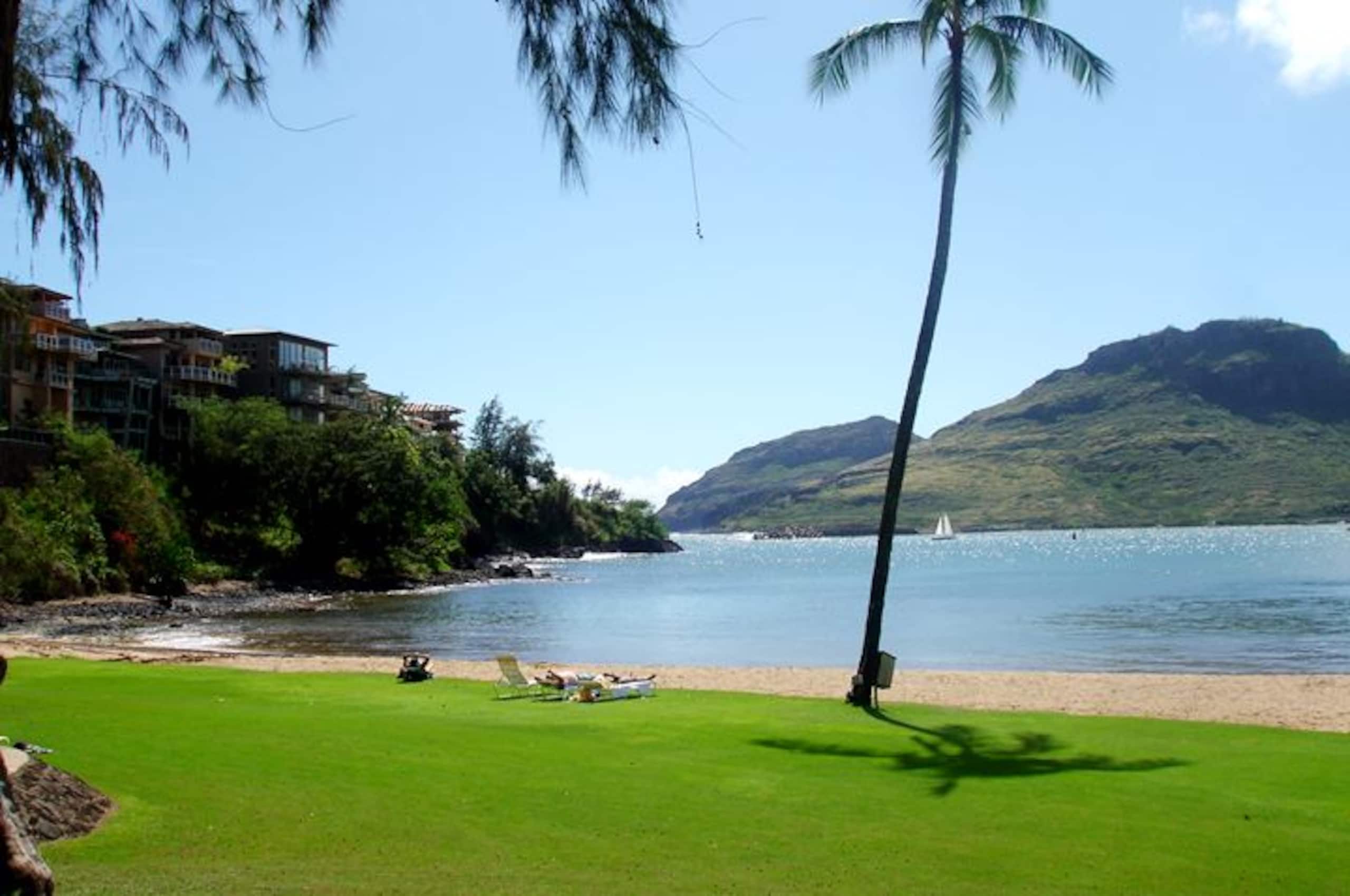 Amazing Views from this Oceanfront Home - Photo 20