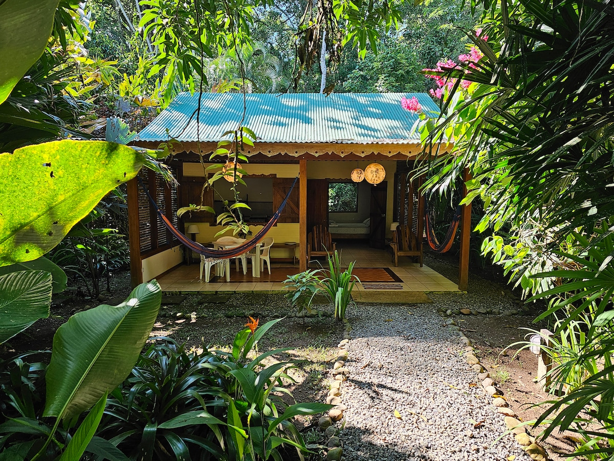 A charming wooden casita is surrounded by lush tropical vegetation, featuring a sloped metal roof. Hammocks are suspended near a seating area, while a stone path leads to the entrance. Bright green leaves frame the scene, enhancing the connection with nature.