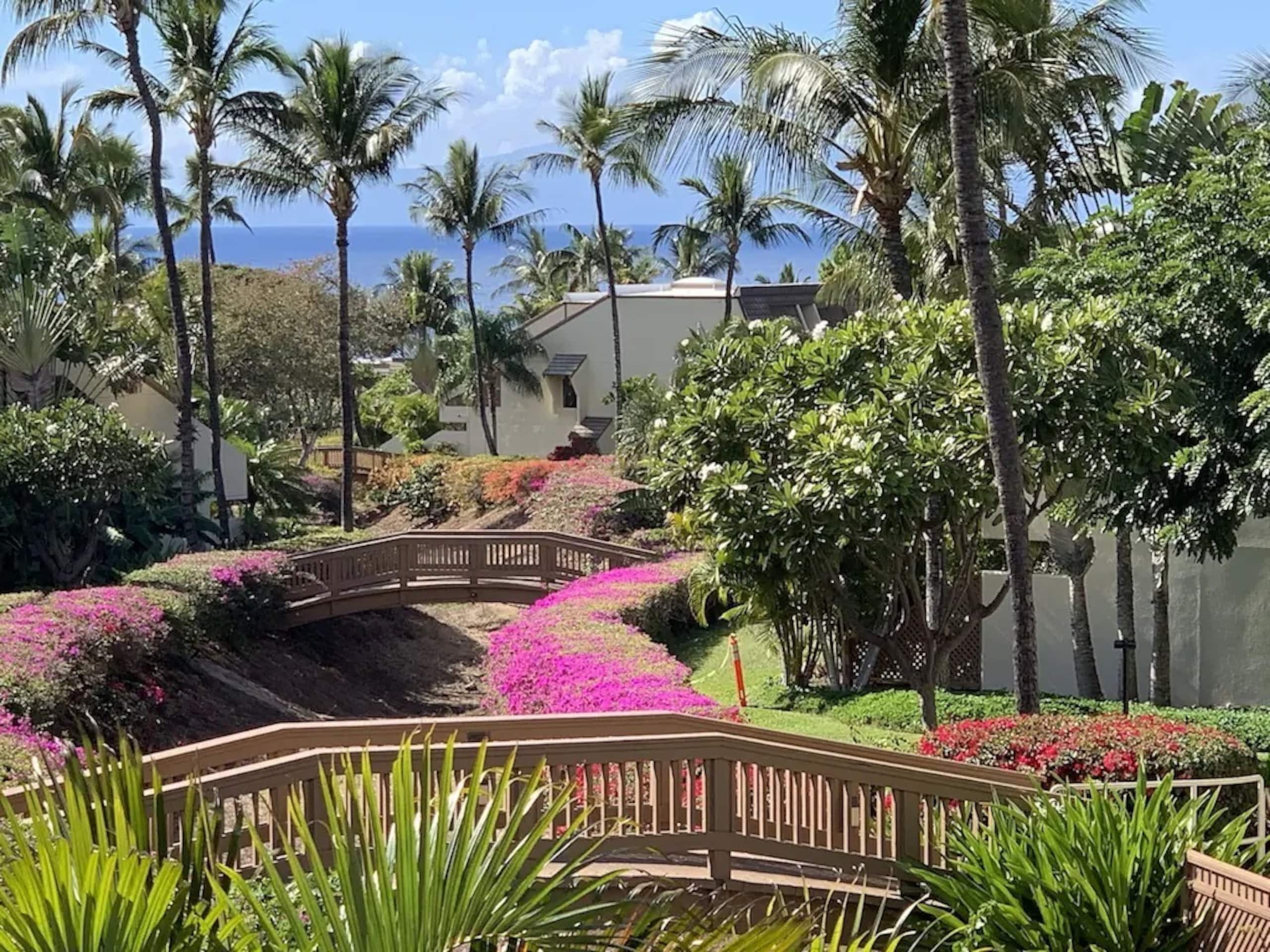 Condo in Kihei · ★4.95 · 2 bedrooms · 3 beds · 2 private baths - Image 1