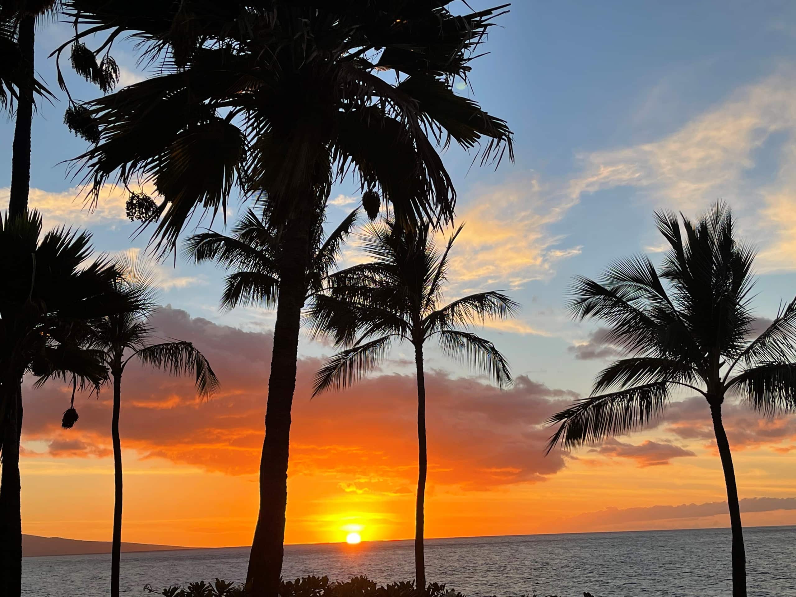 Condo in Kihei · ★4.95 · 2 bedrooms · 3 beds · 2 private baths - Image 40