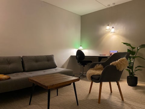 Room with sofa bed for 2, private toilet/bath