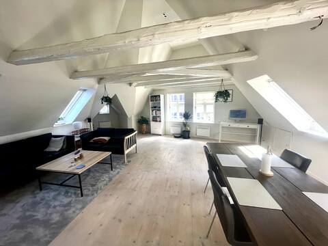 Spacious & cozy 2-BR apartment in  heart of Vejle