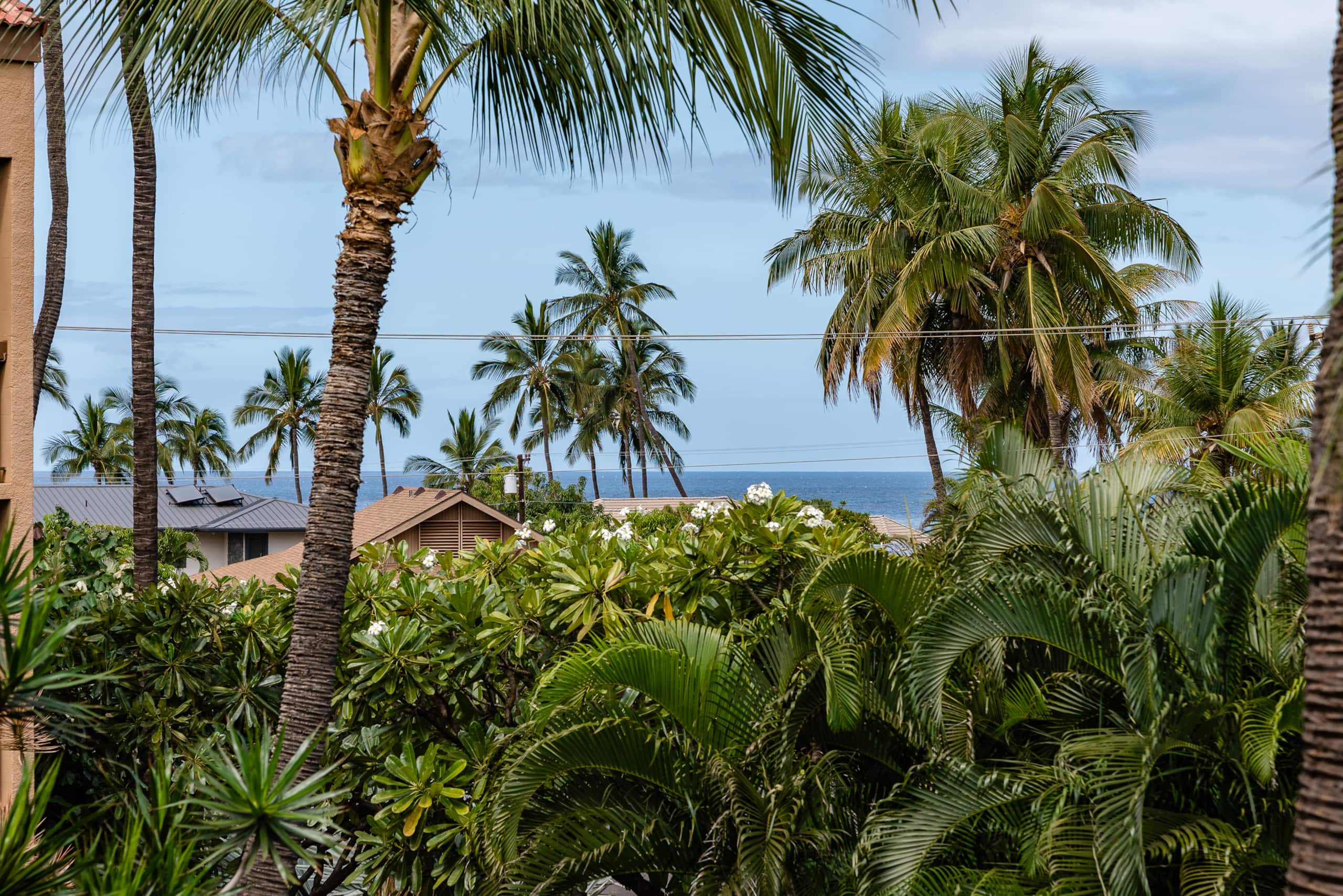 Condo in Kihei · ★4.63 · 1 bedroom · 1 bed · 1 private bath - Image 13
