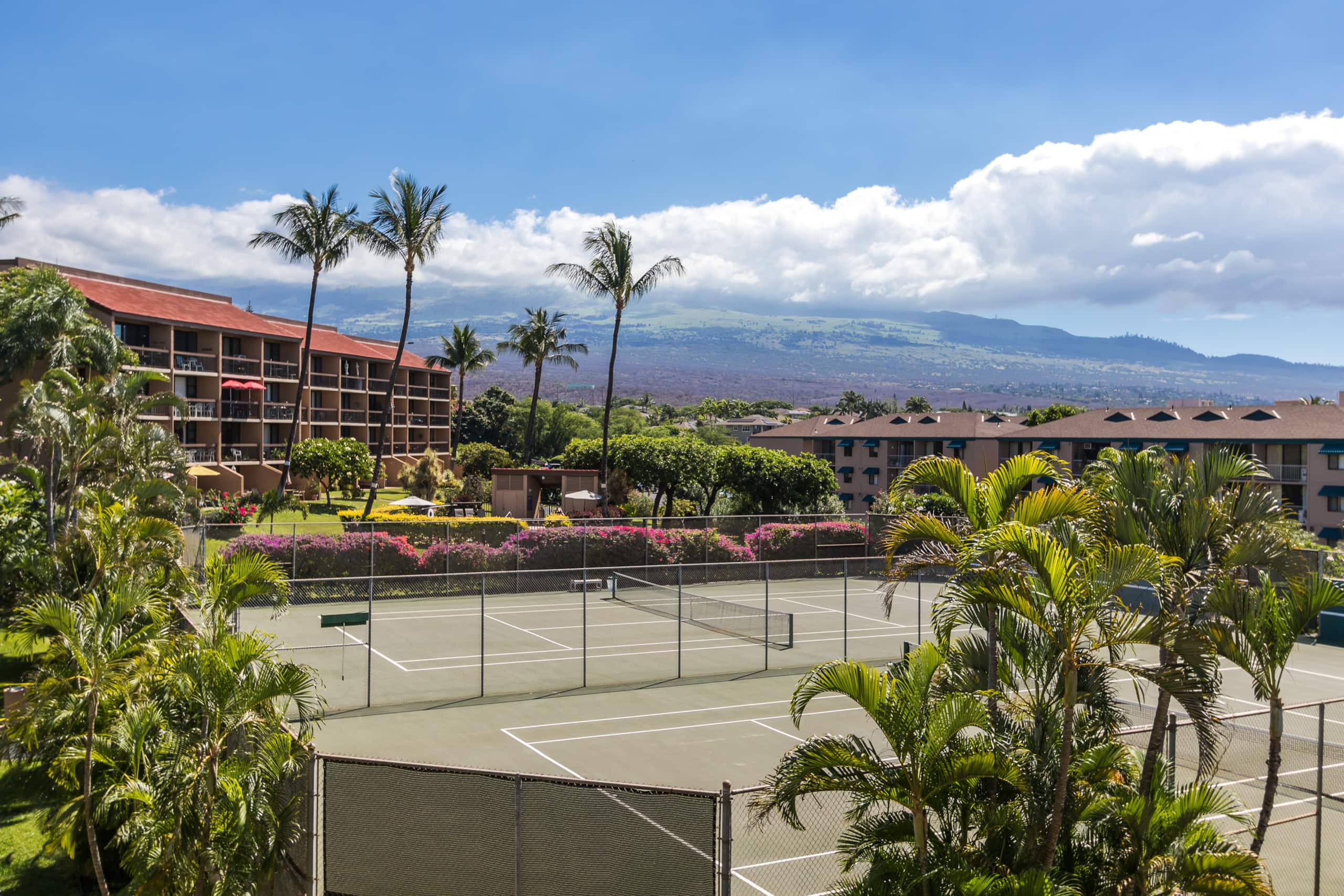 Condo in Kihei · ★4.63 · 1 bedroom · 1 bed · 1 private bath - Image 16