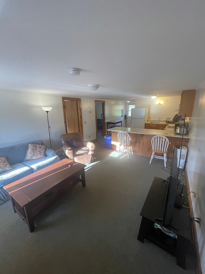 2bedroom , 4 Beds Apartment Downtown Stowe Apartments for Rent in