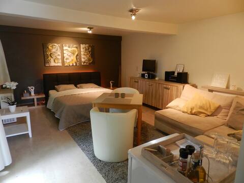 private suite L'Orfée with PRIVATE  jacuzzi and sauna