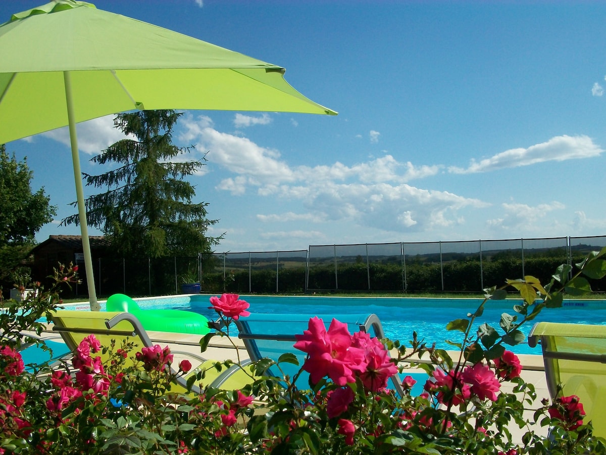 A refreshing outdoor pool is framed by vibrant pink flowers and green lounge chairs. A large umbrella provides shade over the seating area. The background features a clear blue sky with scattered clouds and rolling landscapes, creating a serene view.