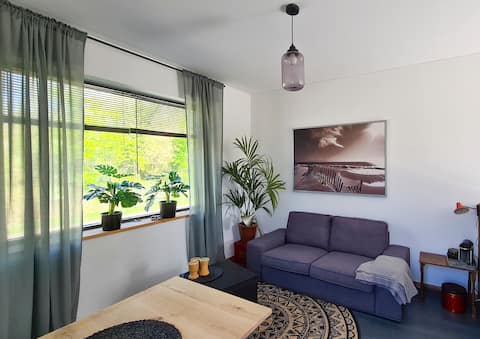 Studio between the woods and the bulb fields