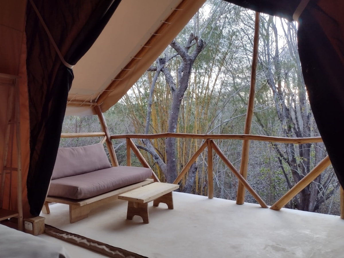 A comfortable seating area features a low wooden table and a large cushioned bench. The space opens to a scenic view of trees and greenery through large windows, inviting natural light and the sounds of the surrounding environment.