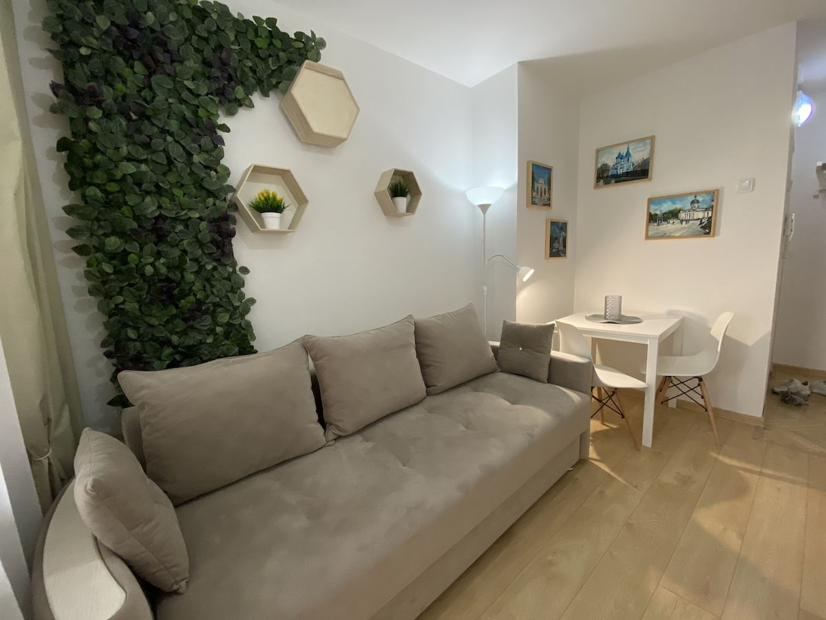 Вднх квартиры фото. Саввы белых 11 екатеринбург. Однокомнатная квартира на ботанике. Ботаническая 15 f1. Гостиница усолье номера.