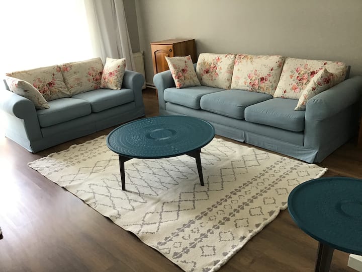 Mavi Panjurlu Ev/ Tek Ricamız ÇIçekleri Sulamanız. - Burhaniye