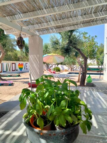 VILLA LUXURY CON PISCINA MARE BANDIERA BLU gallery image 5