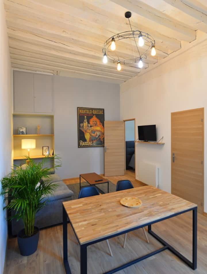 Appartement Coeur De Ville - Tours