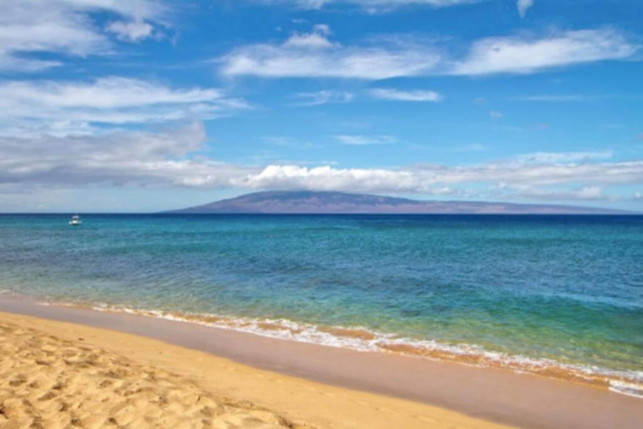 Condo in Lahaina · ★4.84 · 1 bedroom · 1 bed · 1 private bath - Image 13