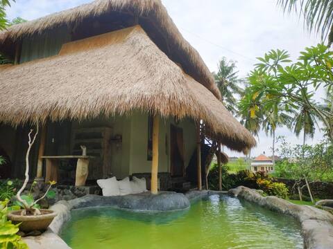 Manor "Bali Paradise" 5BR, swimming pool, view